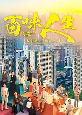 开发者剧集海报
